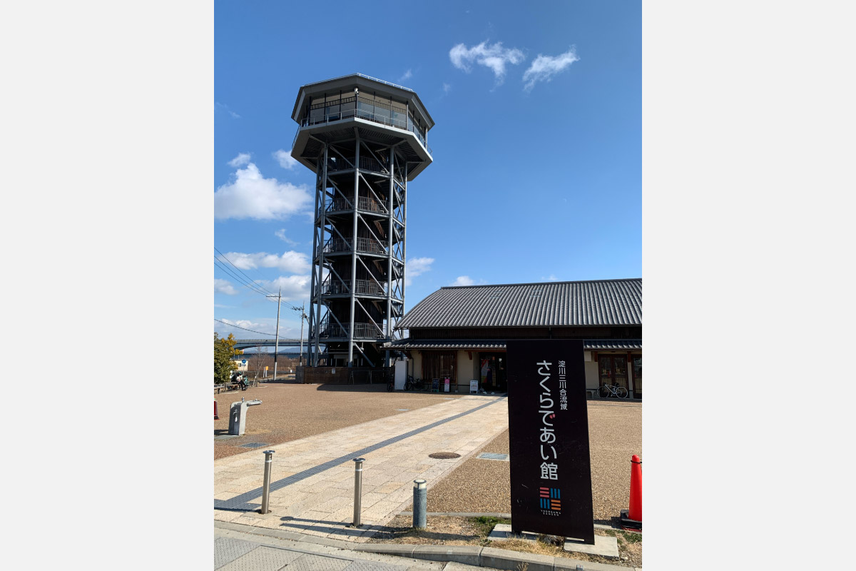 桜のトンネルまで歩こう！長岡天満宮から背割桜、石清水八幡宮を歩く街歩きイベント、4月2日（水）開催