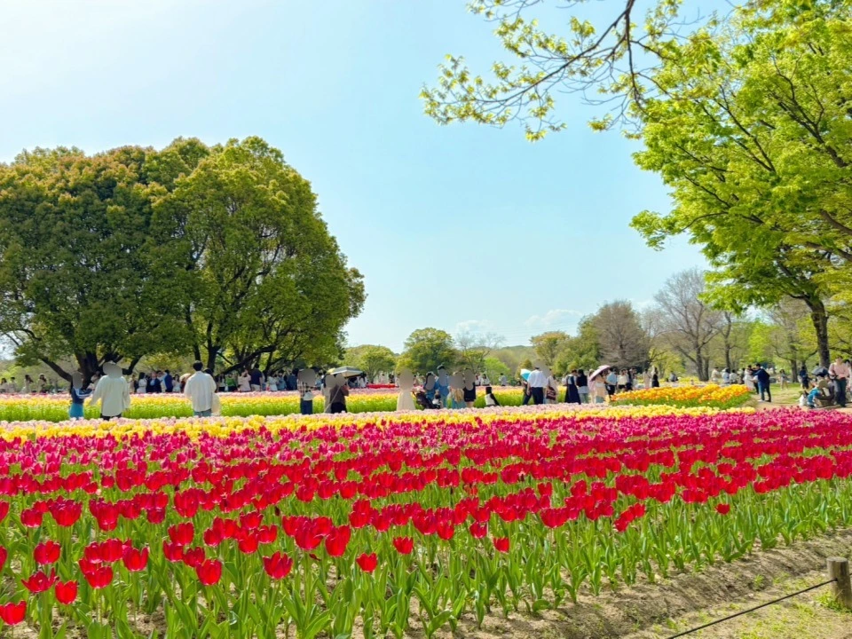 「万博記念公園」のチューリップの花園