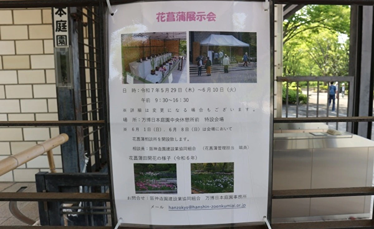 5月29日（木）から「万博記念公園」の日本庭園で「花菖蒲展示会」がスタート！