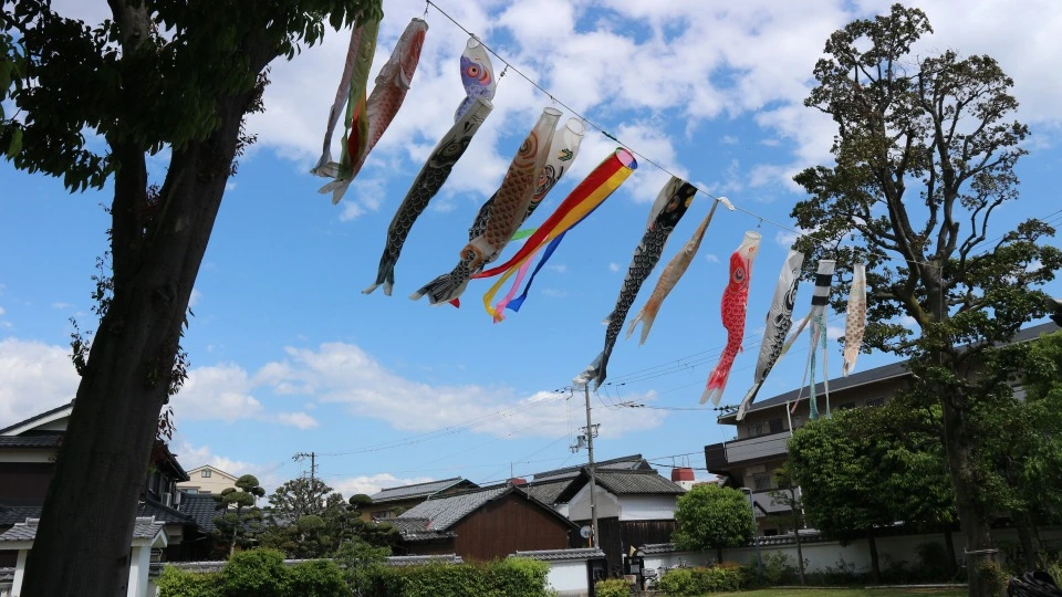 浜屋敷のこいのぼり