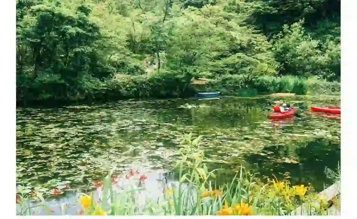 7／19～21、ROKKO森の音ミュージアムにて「森の音フェス2025」開催