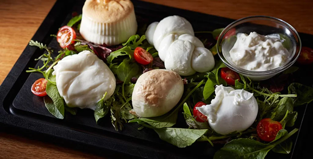 オービカ モッツァレラバー 梅田店_チーズ