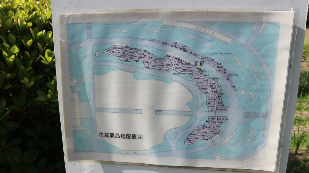 万博記念公園の花菖蒲品種配置図