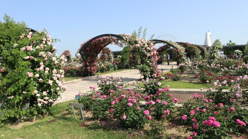 万博記念公園のローズフェスタ