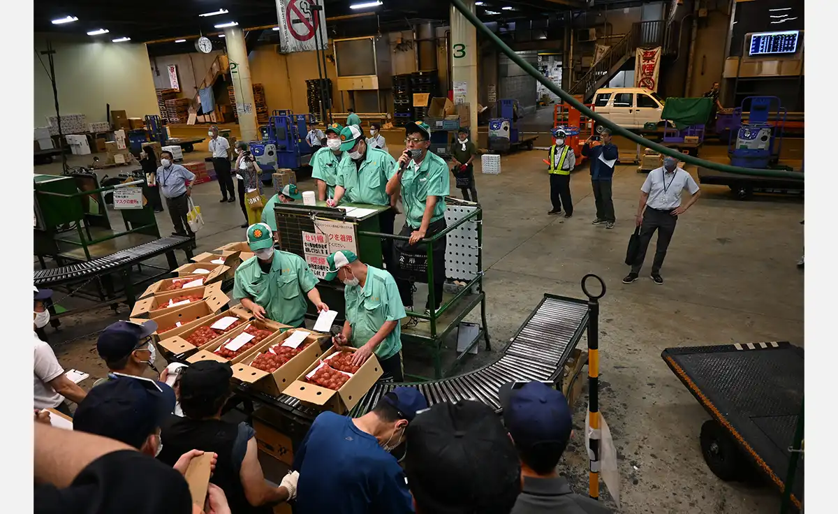 夏の京野菜を知って味わおう！　市場見学と調理実習付き講演会が京都市内で開催