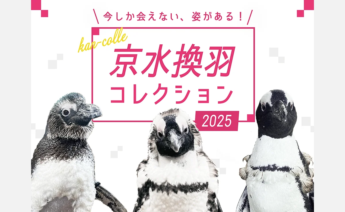 京都水族館で「京水換羽コレクション2025」開催