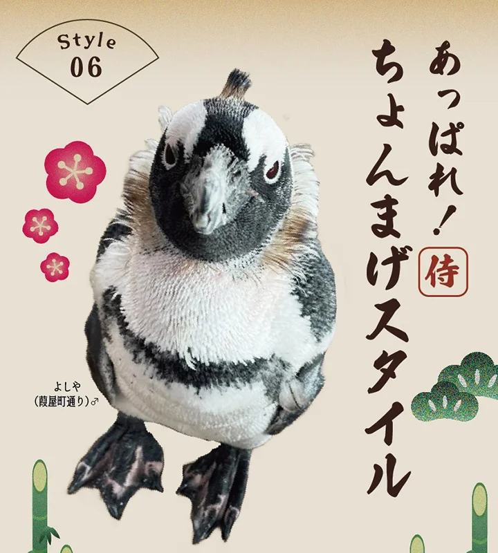 京水換羽コレクション2025