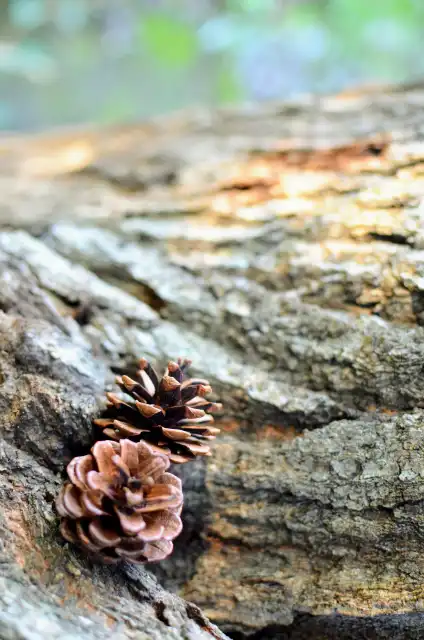 勝部康平プロフ写真