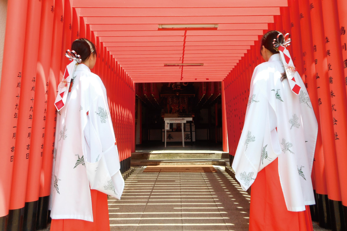 神社の祭礼日に奉仕する巫女になろう。長岡天満宮・松山神社・服部天神宮「阪急三天神 巫女 梅乙女」募集＜2025年8月31日（日）必着＞