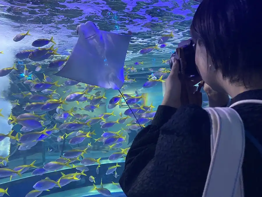 ライター　ペンギンゲッコー