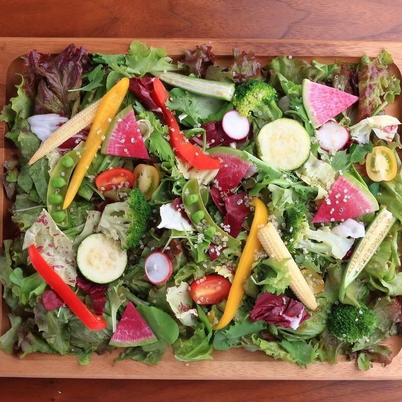 TIERRA_ガーデンプレート