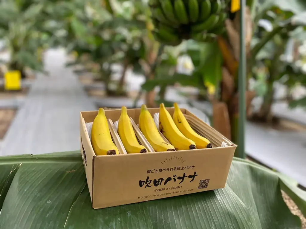 バナナの神様 大阪難波店 吹田バナナ