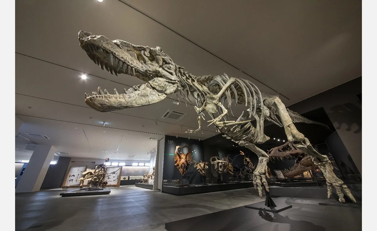 「丹波竜化石工房」 が「たんば恐竜博物館」としてリニューアルオープン！