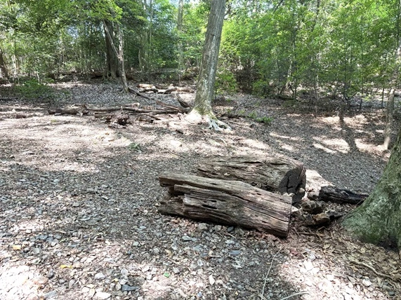 大文字ハイキングコースの途中にある休憩スペース