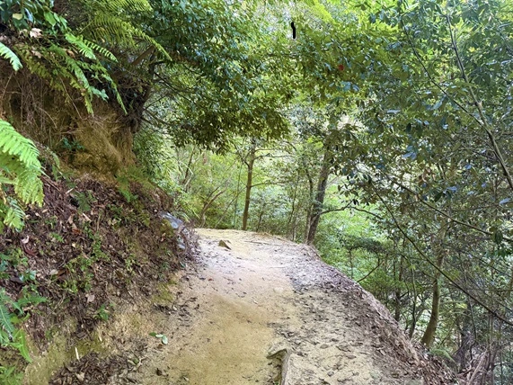 大文字ハイキングコースの途中の様子