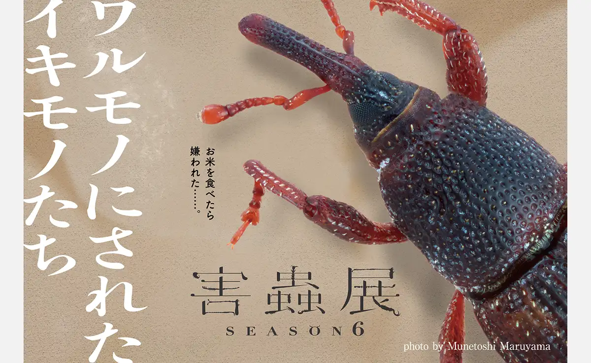 害虫の存在を考え、生き物の“棲み分け”を考える「害蟲展season6」開催！