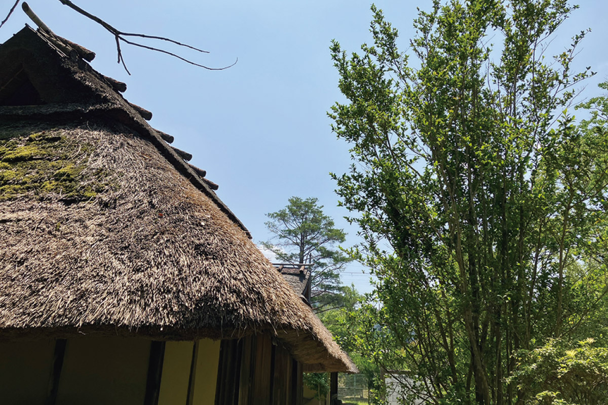 第4回 朝日・五私鉄リレーウオーク（阪急開催回）茅葺き屋根と彫刻の道を歩く「日生中央 人の広場から静思館・彫刻の道コース」