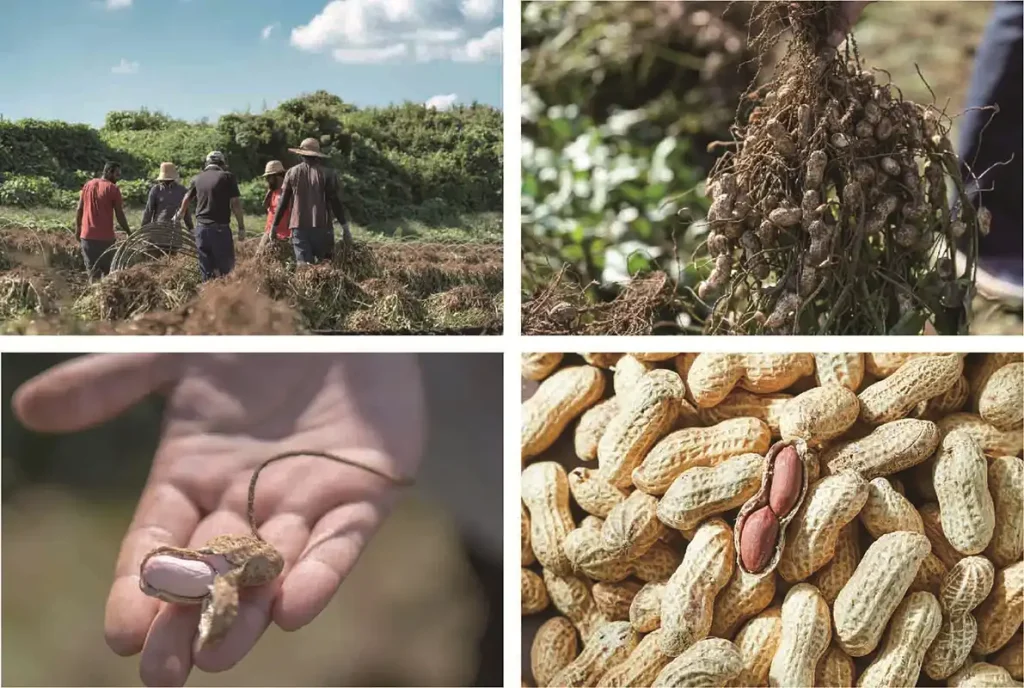 Doré　阪急うめだ店　黒蜜きなこサンデー