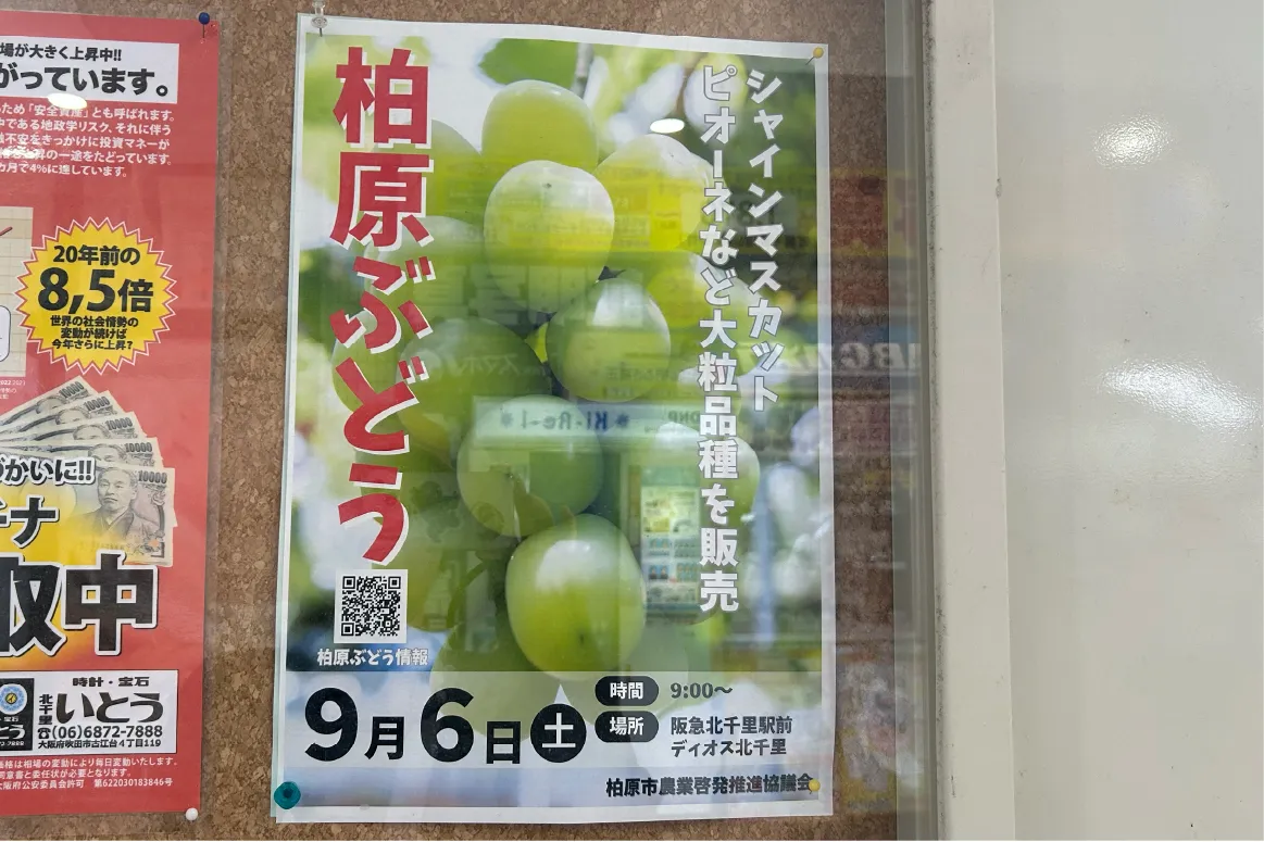 吹田市「dios北千里」で9月6日（土）、シャインマスカットなどが並ぶ柏原市のぶどうPR販売会が開催