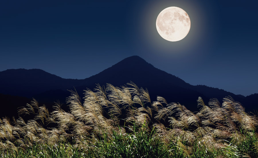 秋のお出かけ先リスト。阪急沿線 秋の祭りとイベント【TOKK2025年10月号】