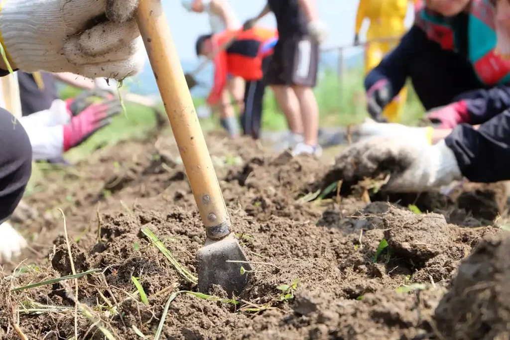 八百屋『minori farm（みのりファーム）』