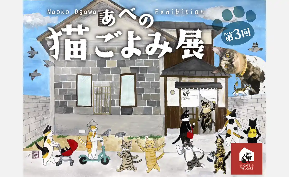 保護ネコ支援につながる！古民家で癒やしとアートの作品展「あべの 猫ごよみ展」開催