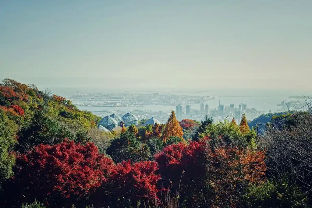 神戸布引ハーブ園　GARDEN FEST 2025-Autumn-