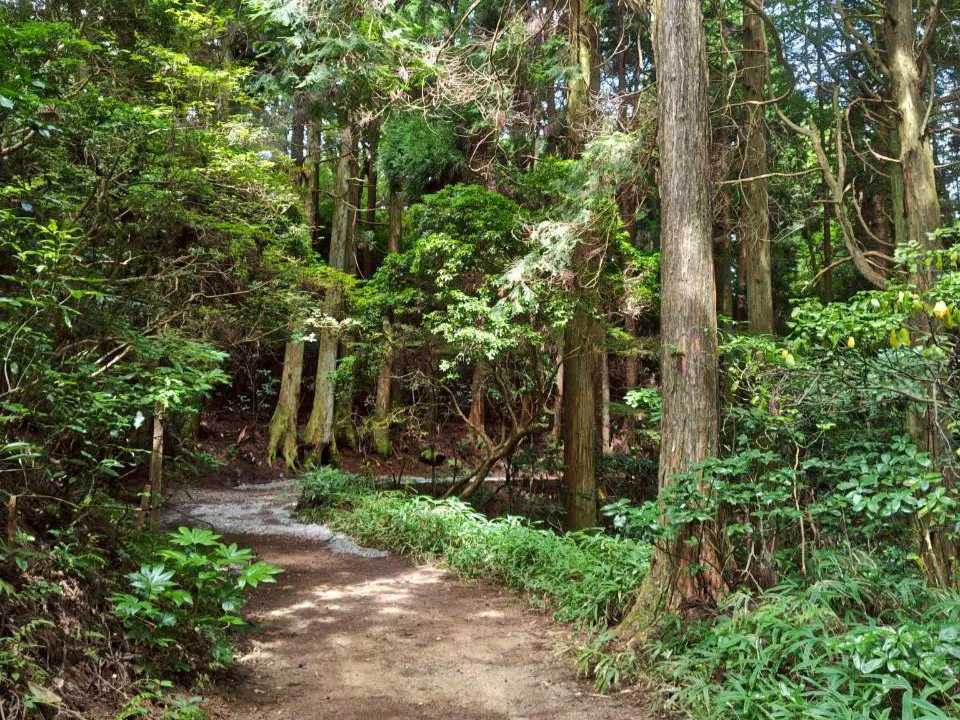 神戸六甲ミーツ・アート2025