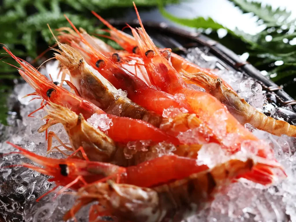 湯村温泉「湧泉の宿ゆあむ」