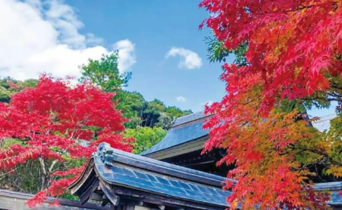 川西・池田TOKK検定にチャレンジしよう！ あなたは何問正解できるかな？ 【第1回】