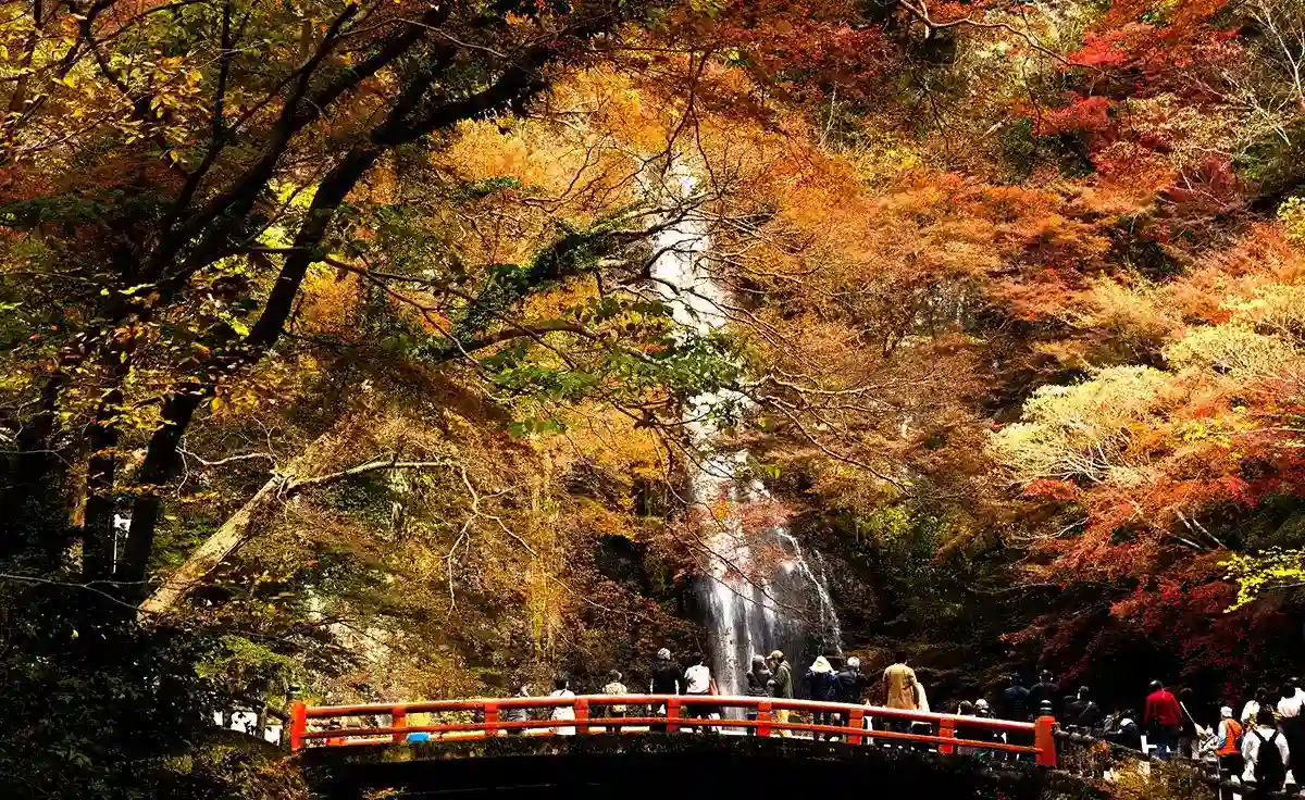 箕面TOKK検定にチャレンジしよう！ あなたは何問正解できるかな？ 【第1回】