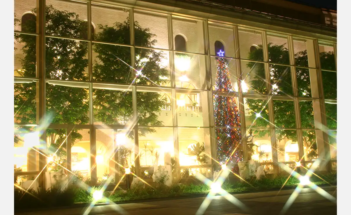 淡路島で最速・最大級のクリスマスツリー、2025年11月1日点灯！