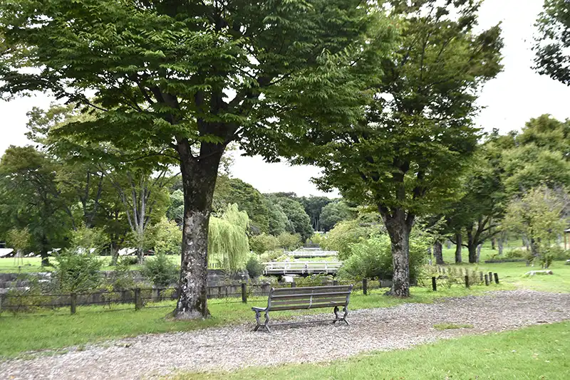 万博記念公園のベンチ2