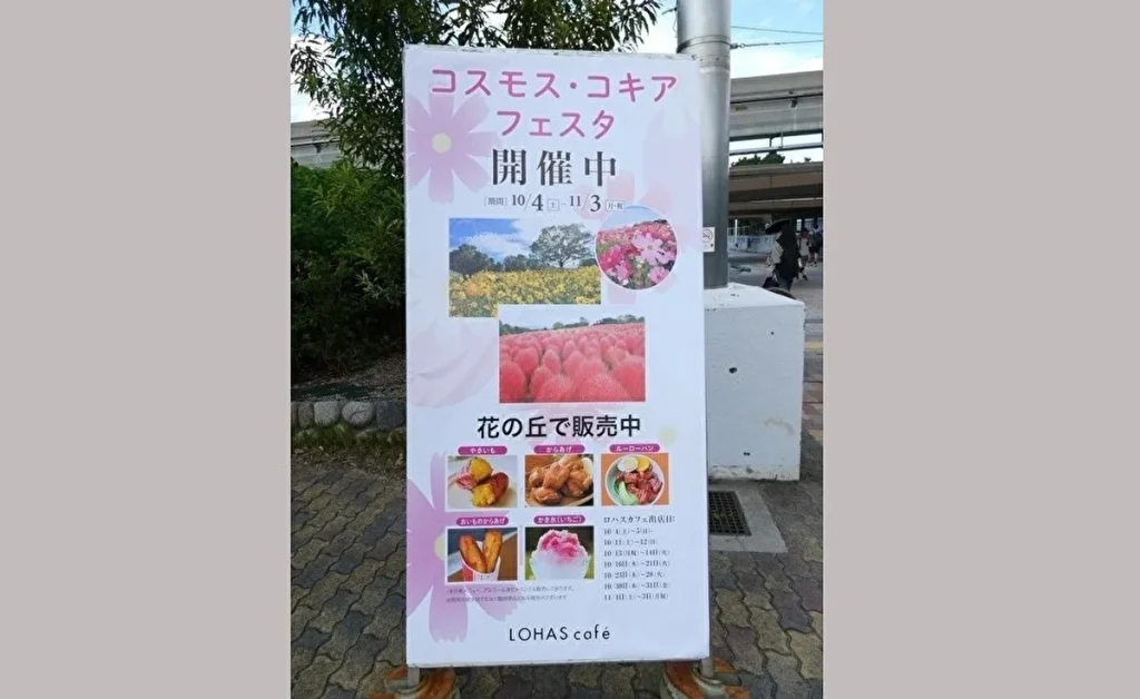 コスモス・コキアフェスタ 案内看板
