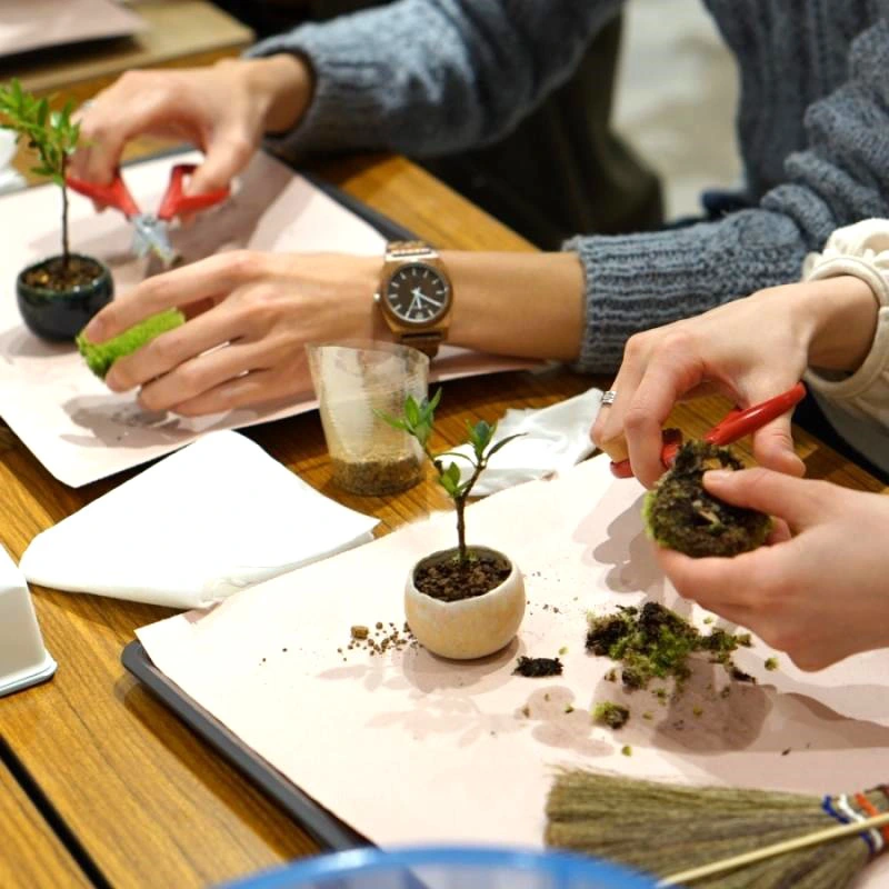 阪急うめだ本店　URBAN JUNGLE WEEKS