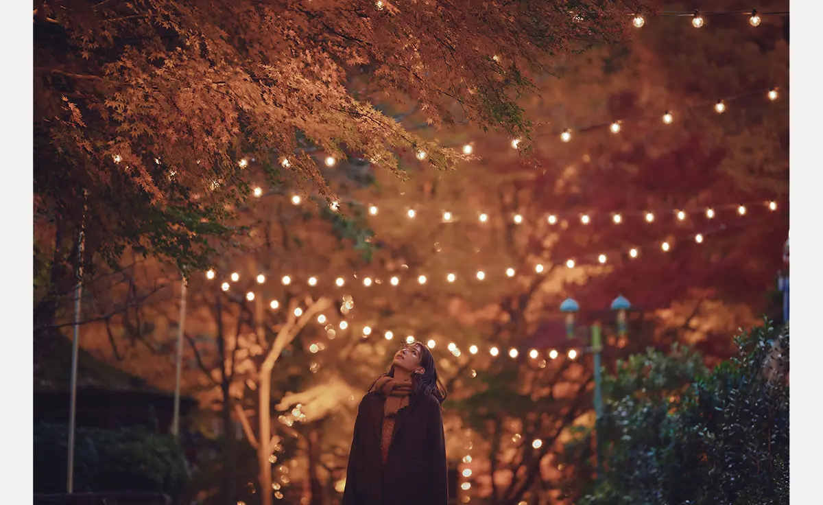 紅葉×クリスマスがコラボする唯一の場所「神戸布引ハーブ園」で『布引の紅葉』のライトアップが大規模開催！