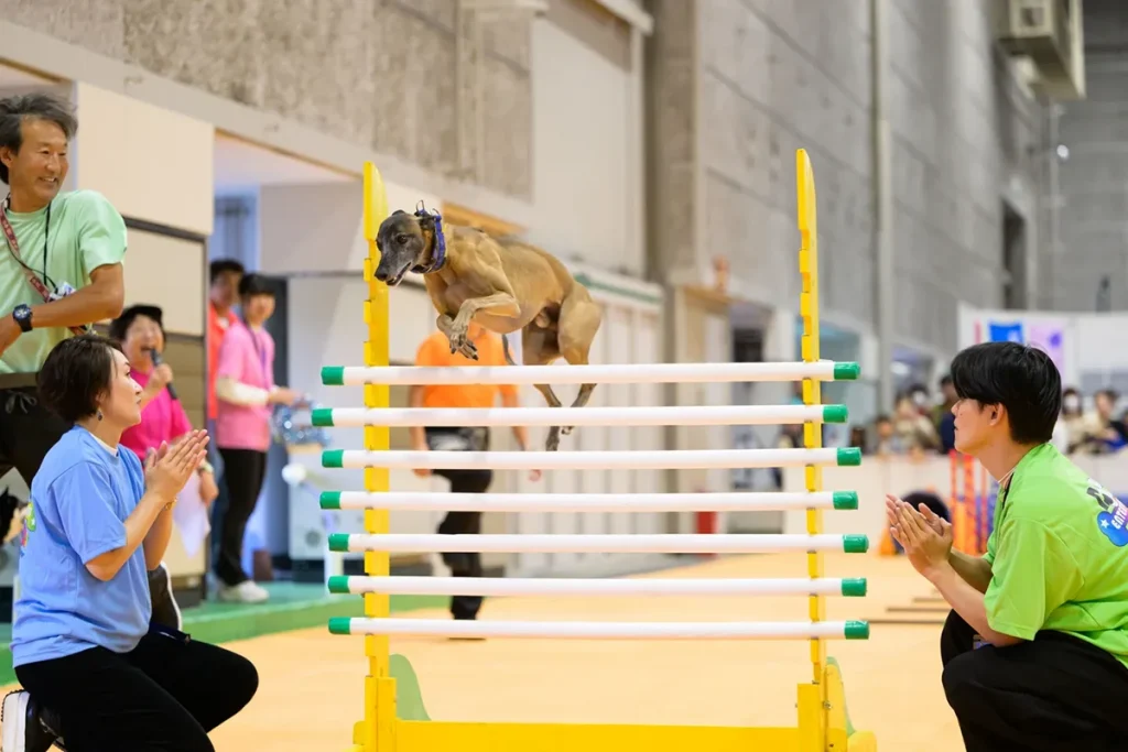 ペットイベント インテックス大阪