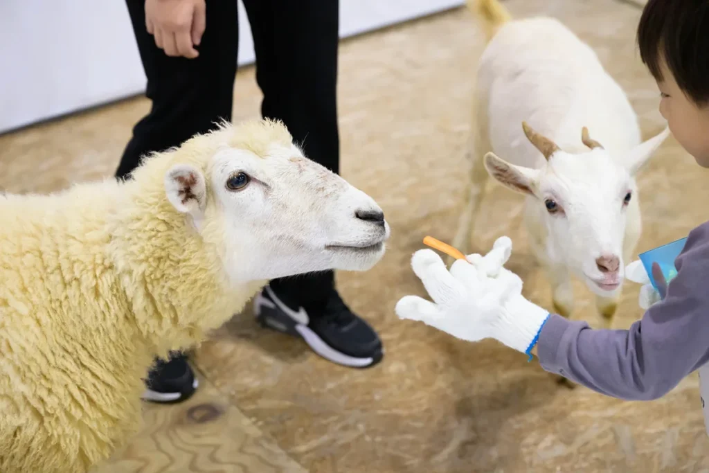 ペットイベント インテックス大阪