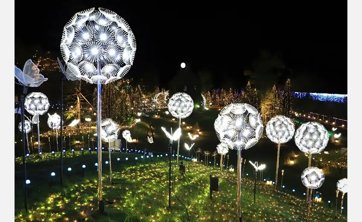 ローザンベリー多和田でイルミネーション「HIKARIUM2025～蝶と旅するファンタジーガーデン～」10月10日から開始！