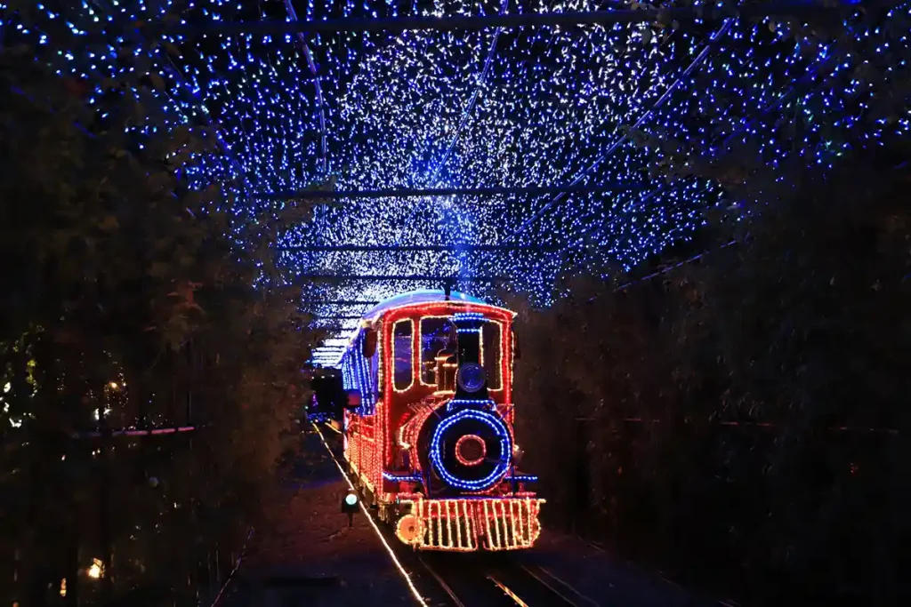 ローザンベリー多和田 イルミネーション