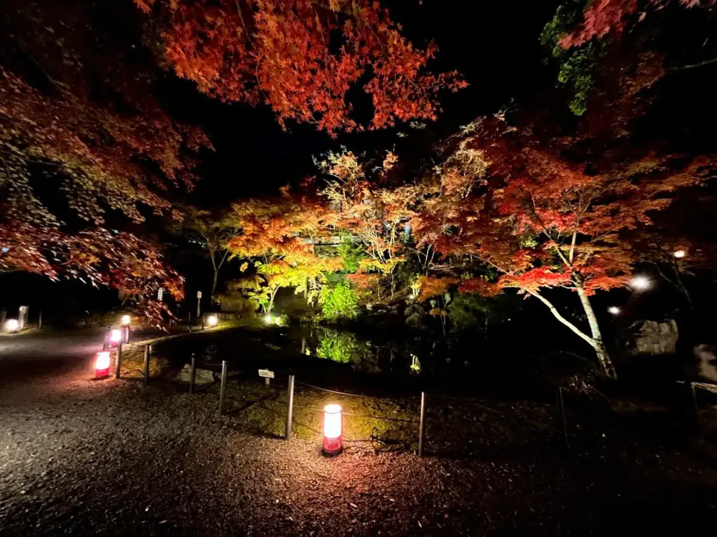 長岡天満宮花灯路　錦景苑　夜