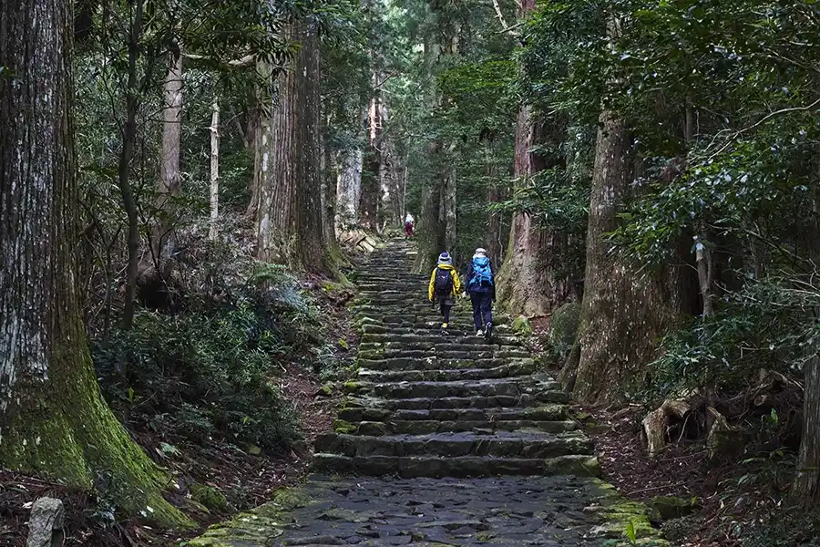 【抽選で特産品が当たる！】熊野御幸ゆかりの御朱印めぐり。和歌山・熊野の見どころとおすすめスポット