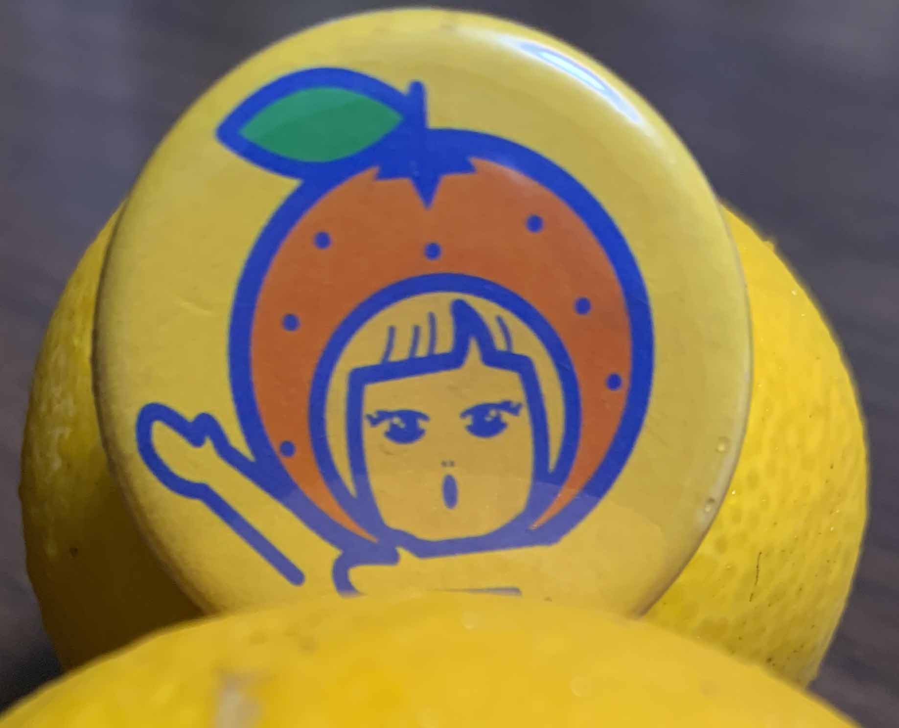 いとうのみかん