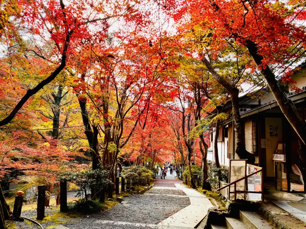 神峰山寺の紅葉2