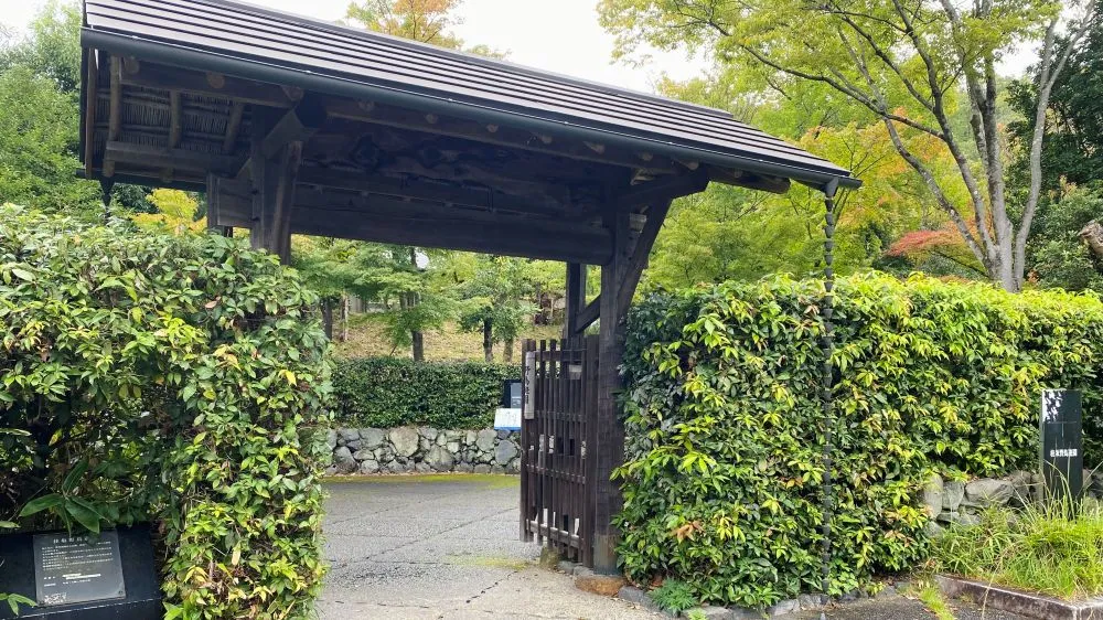 人と自然“野鳥”との共生「桂坂野鳥遊園」この場所では、いつまでも野鳥が寛げますようカイツブリを見ることができました！