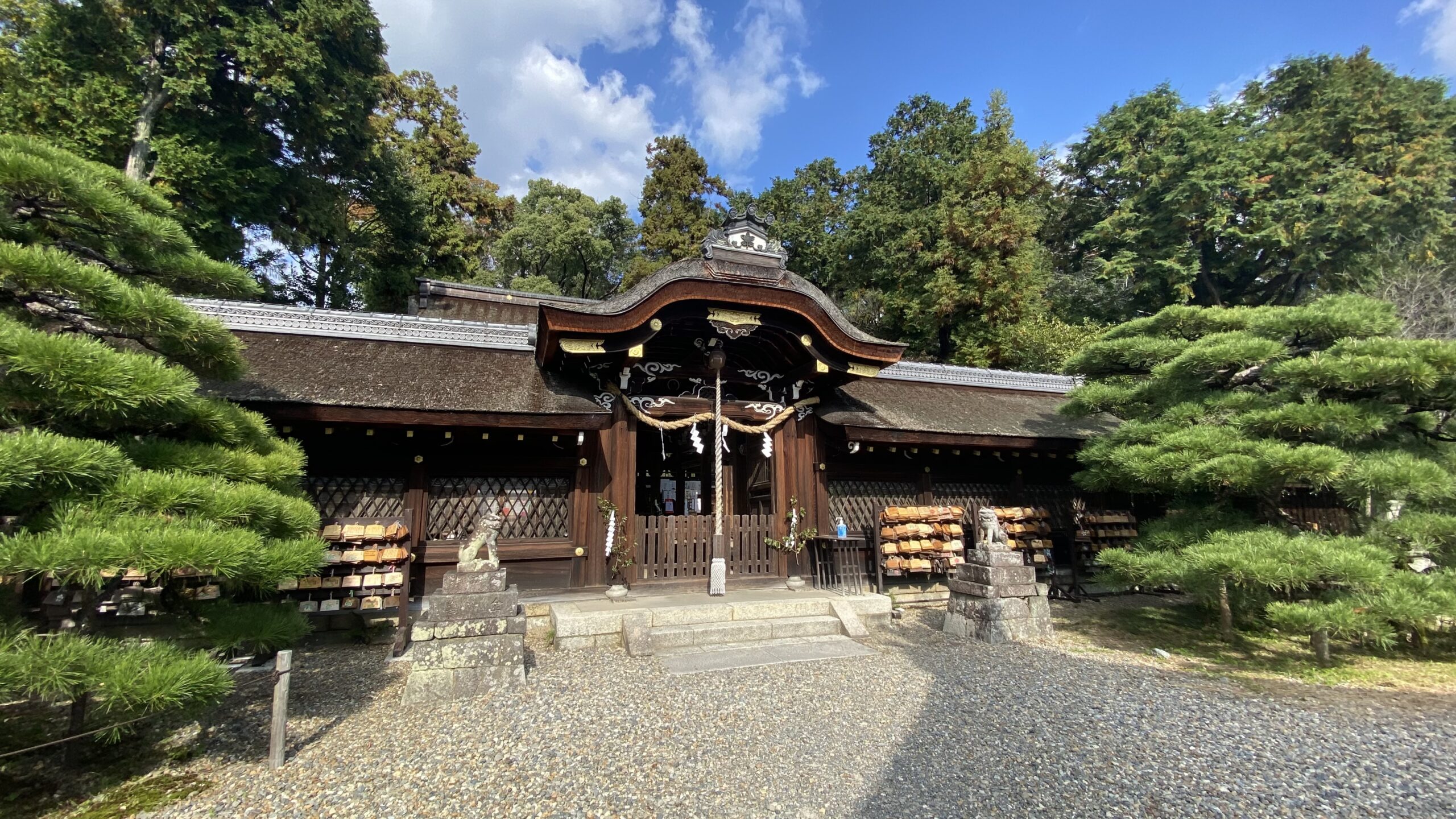 猫に会える！奈良時代に創建された梅宮大社