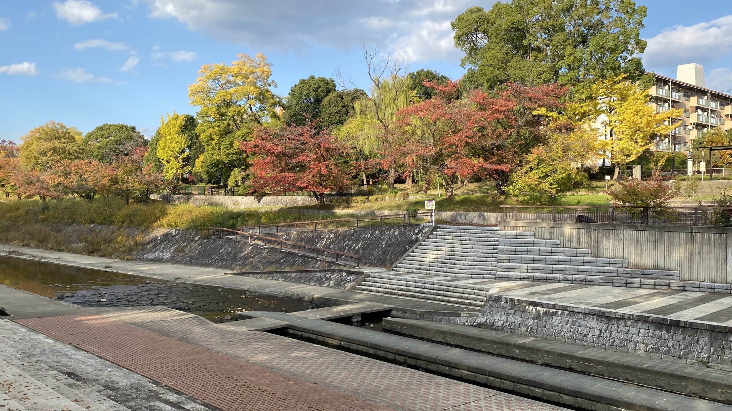 地域の人々が交流できる小畑川(洛西ニュータウン)