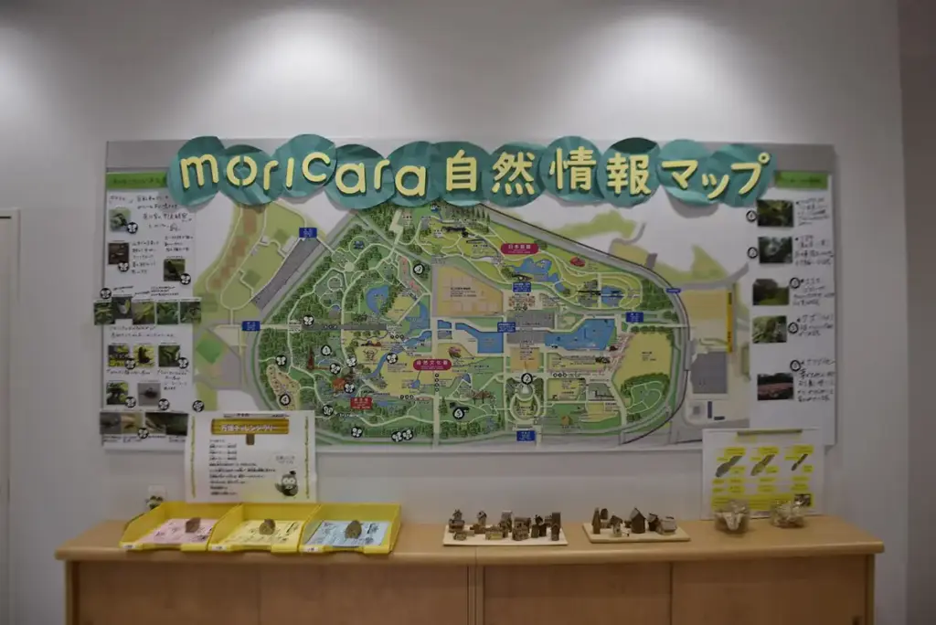 万博記念公園　自然観察学習館 moricara4