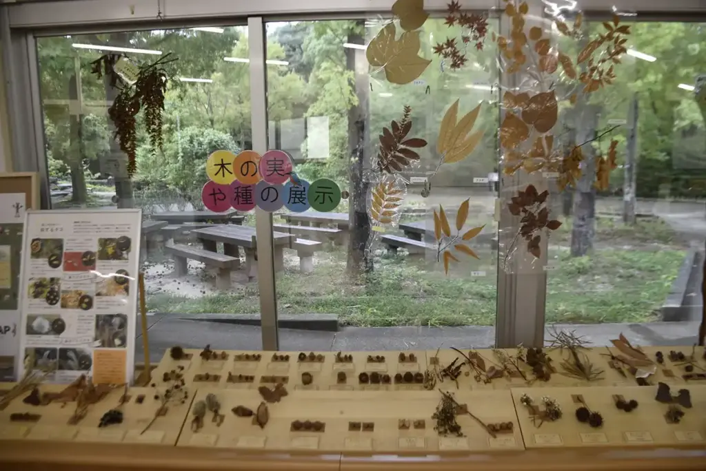 万博記念公園　自然観察学習館 moricara 3