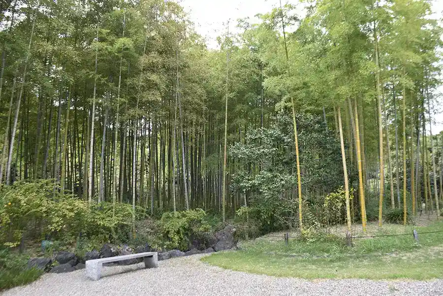 万博記念公園　日本庭園3